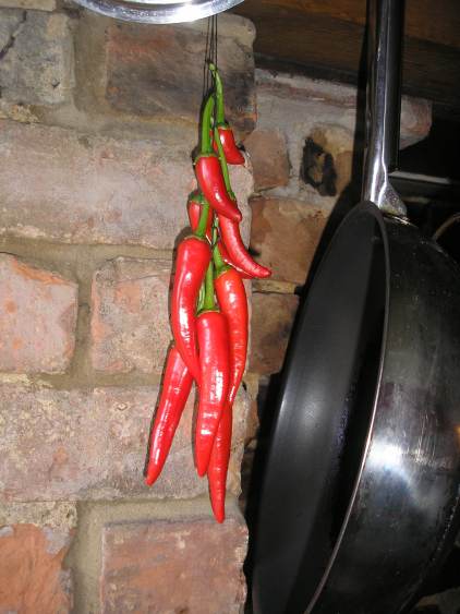 Cayenne Chilli string 20110820a.jpg