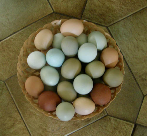 Miss Sugar'nSpice egg basket