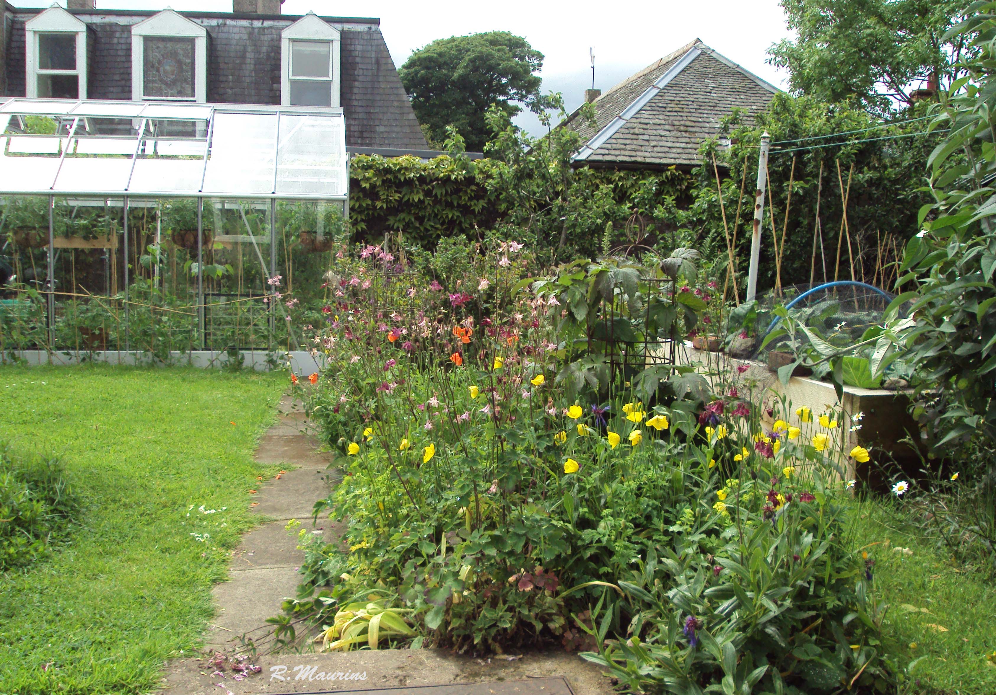 Looking down the garden path.jpg