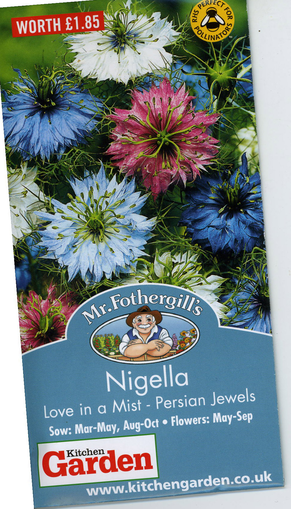 Nigella.jpg