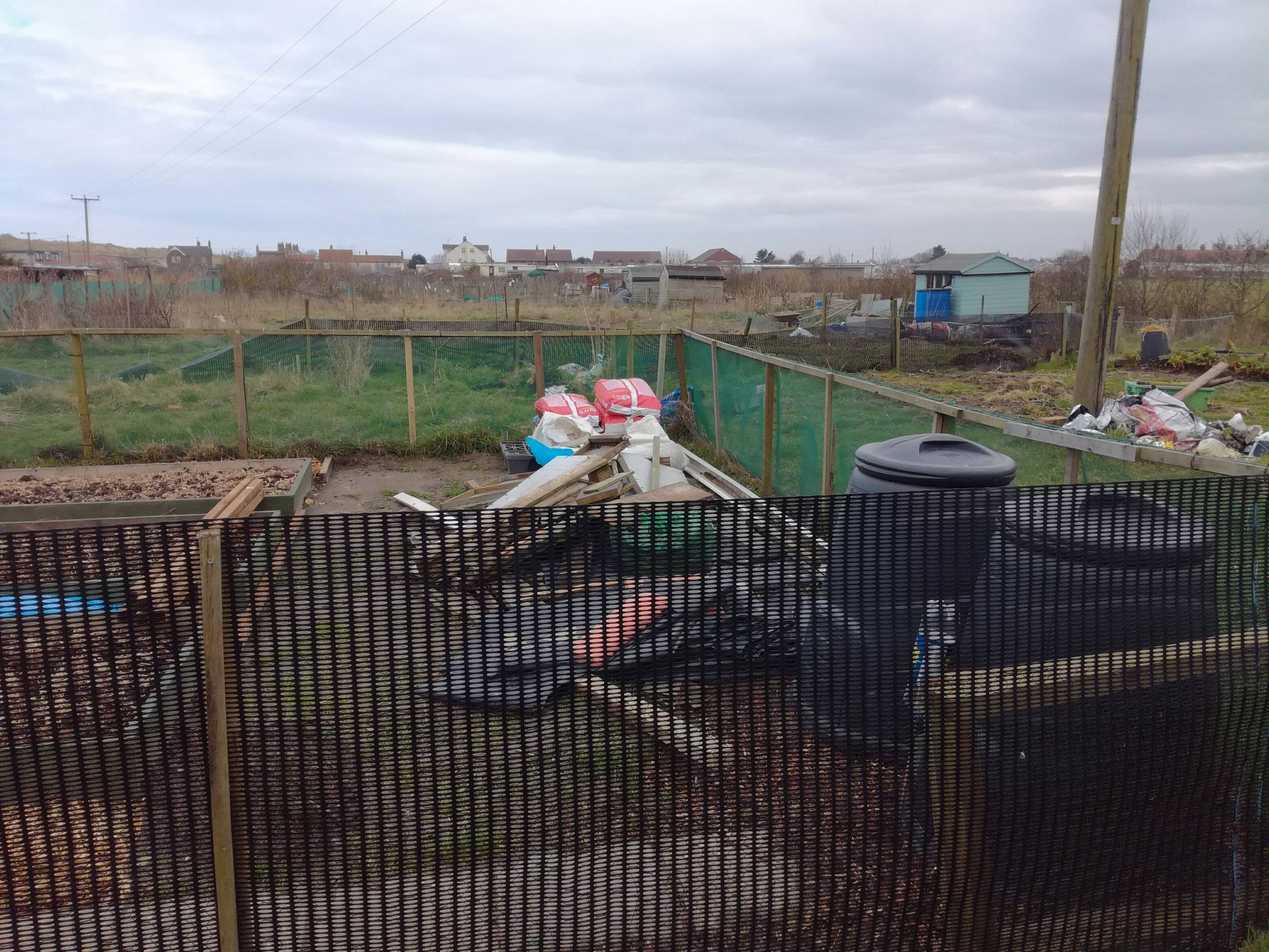 Allotment April Tatty end.jpg