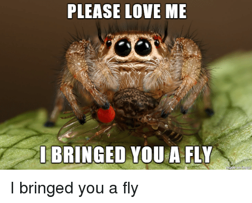 please-love-me-ibringed-vou-a-fly-i-bringed-you-3002315.png