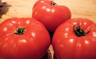 Jack Hawkins tomatoes .jpg