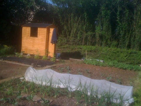 IMG_0139 resize shed.jpg