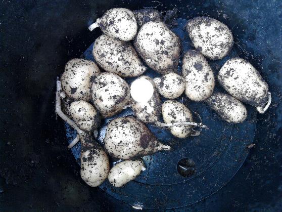 Premiere 19-5-12.jpg