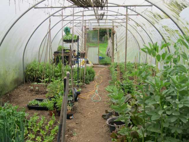 Tunnel looking west 31 May 2012