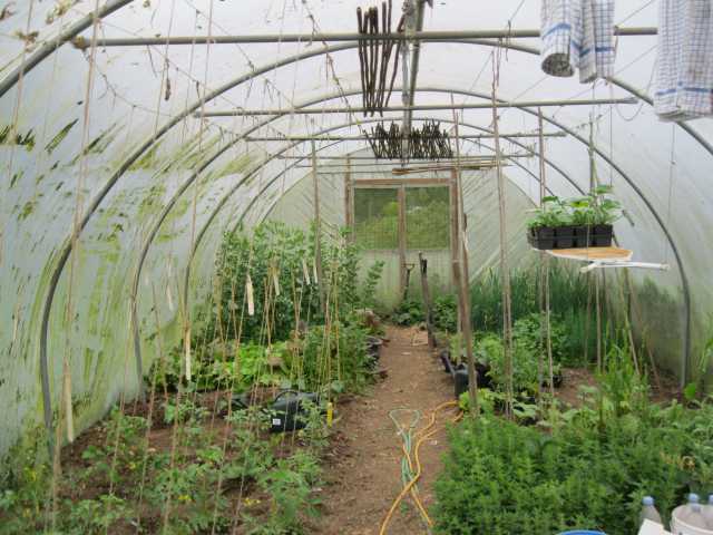 Tunnel looking east 31 May 2012