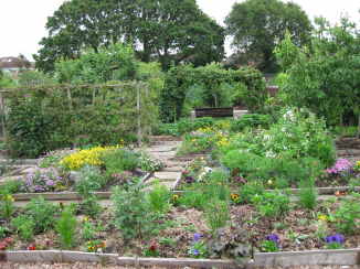 IMG_0902 Fruit and flowers.jpg