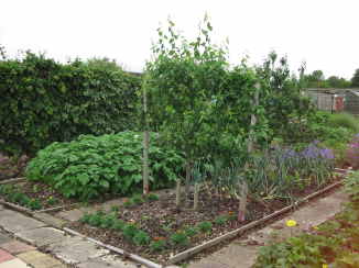 IMG_0909 plot 34.jpg