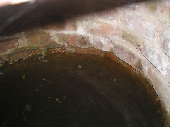 20120707 (2) sml.jpg