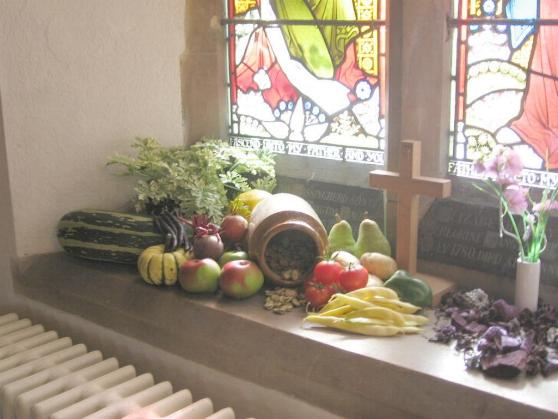 Harvest display window 2012.jpg