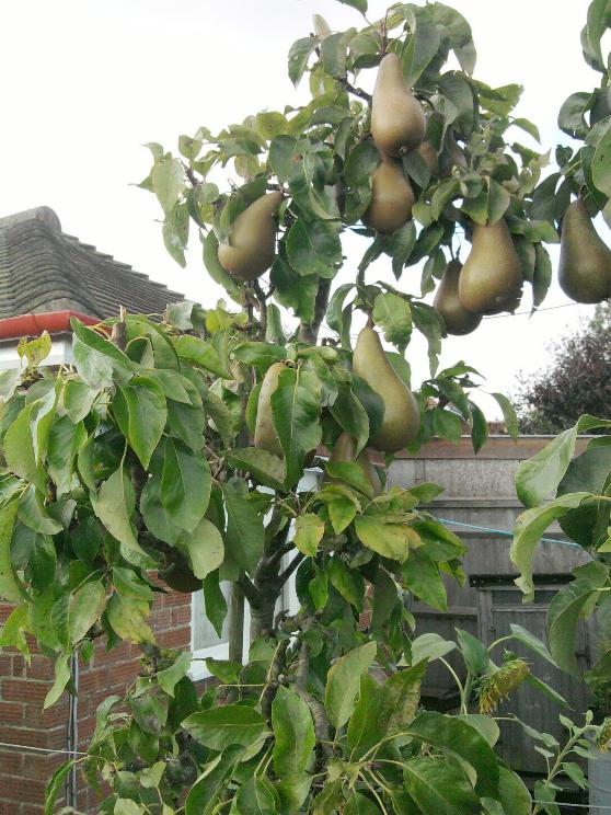 Conference 29-9-12.jpg