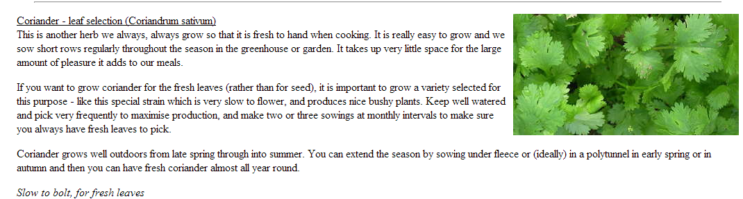 Coriander.PNG