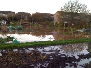 flooded allotment.jpg