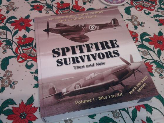 Spitfire Survivors.jpg
