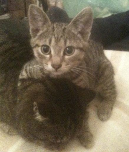 Filbert & Diego 1.JPG