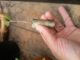 2012-06-12 11.49.04.jpg