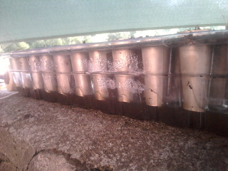 2012-05-24 18.02.50.jpg