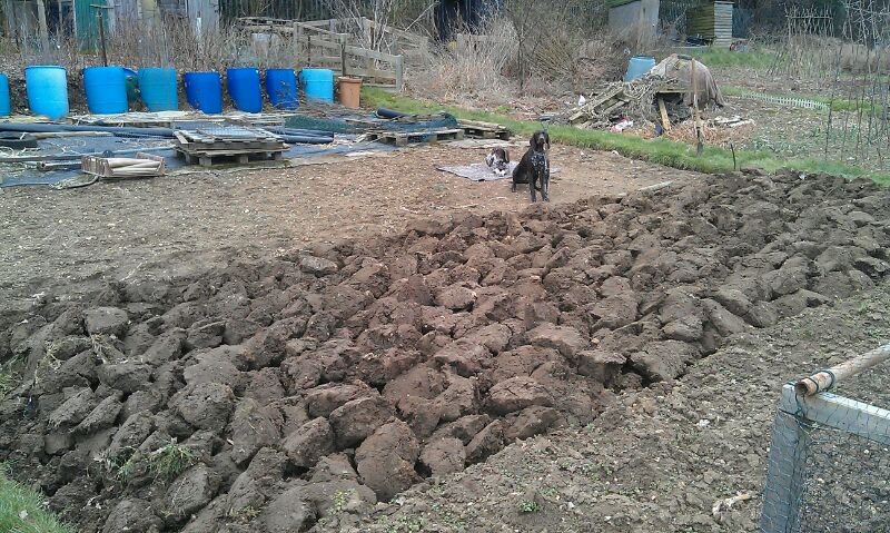 First 2013 visit.jpg