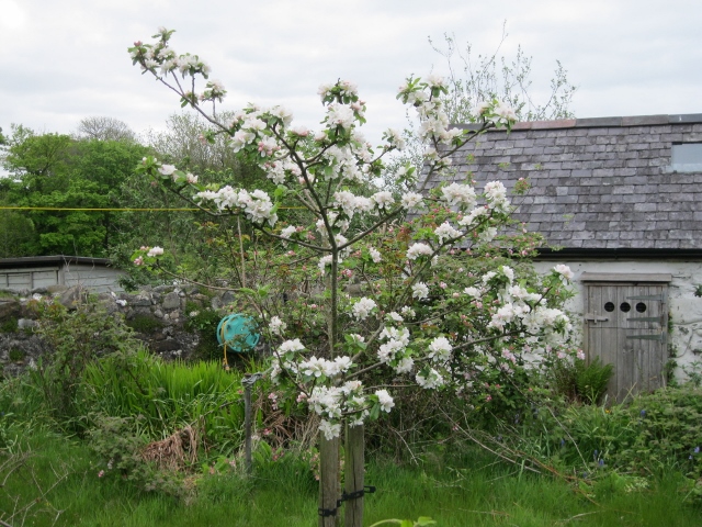 IMG_1337 (640x480).jpg