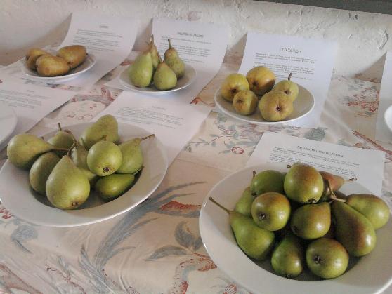 Pear display 12-9-13.jpg