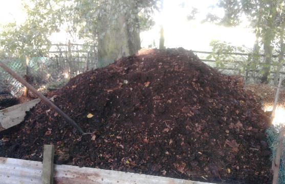 Turned leaf heap 23-10-13.jpg