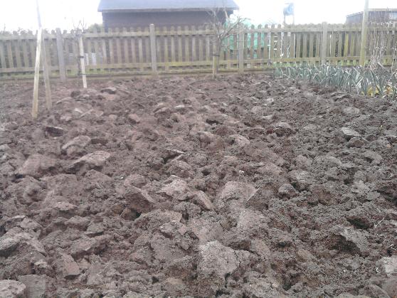 Winter digging 23-12-13.jpg