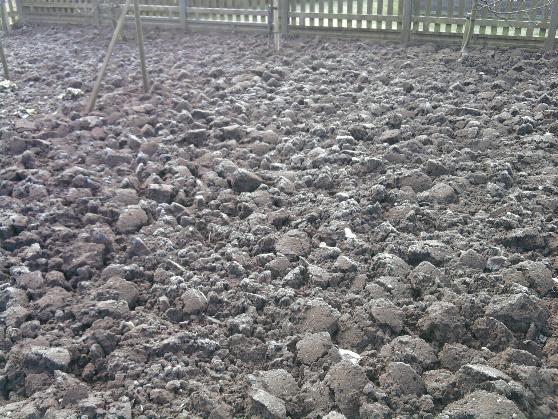 Frost on digging 12-1-14.jpg