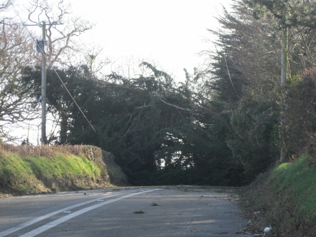 IMG_1448 (640x480).jpg