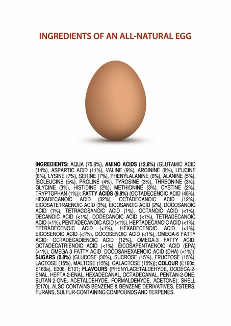 ingredients-of-an-all-natural-egg2 (453x640).jpg