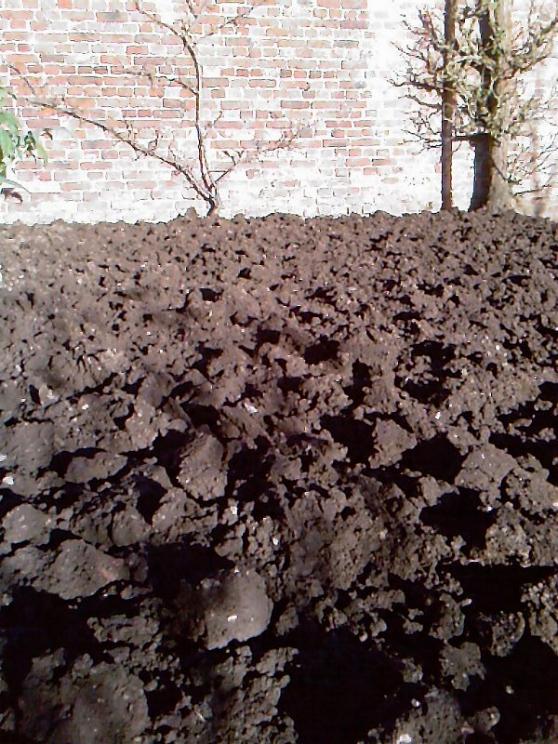 Christmas digging at work 23-12-14.jpg