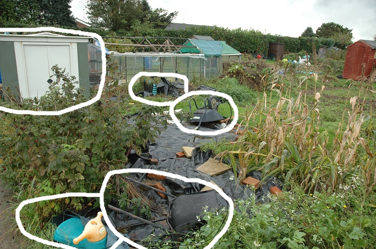 DSC_3806 w 2nd Qtr plot.jpg