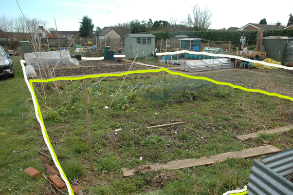 DSC_4190-w 3rd Qtr plot.jpg