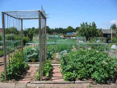 IMG_0368 - veg plot 2.jpg