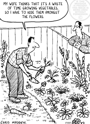 171007-conceal-vegetables-gardening-cartoon.gif