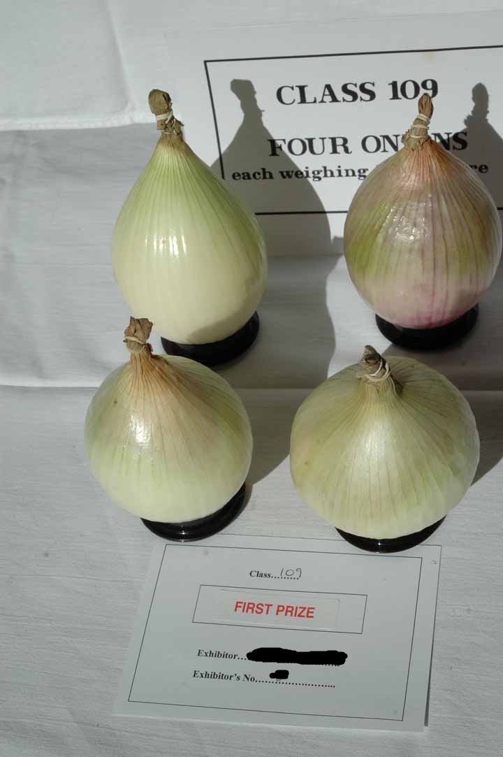 DSC_722844 name edit.jpg