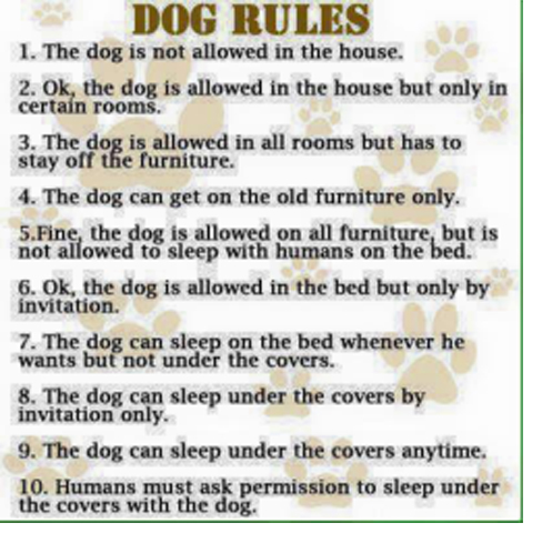 Dog-Rules.jpg