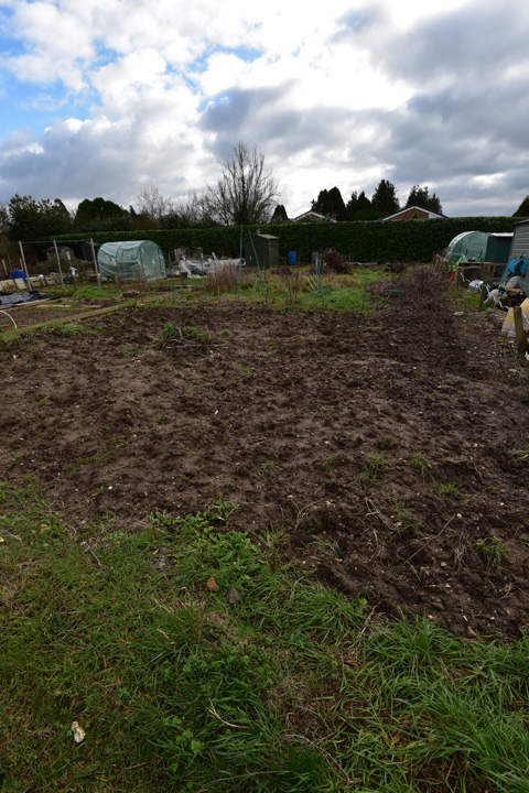 DSC_3271-web.jpg