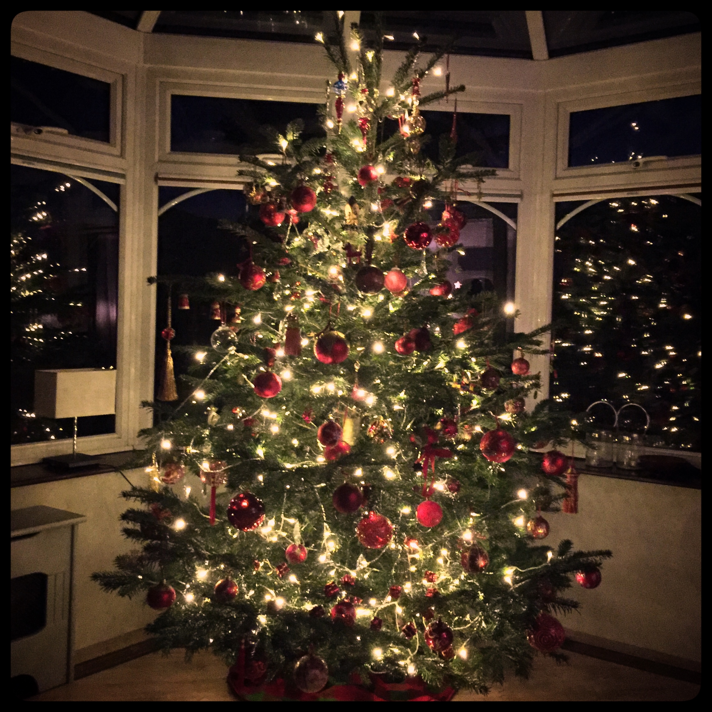 tree2016.jpg
