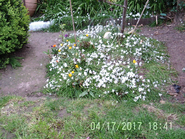 PTDC0234.JPG