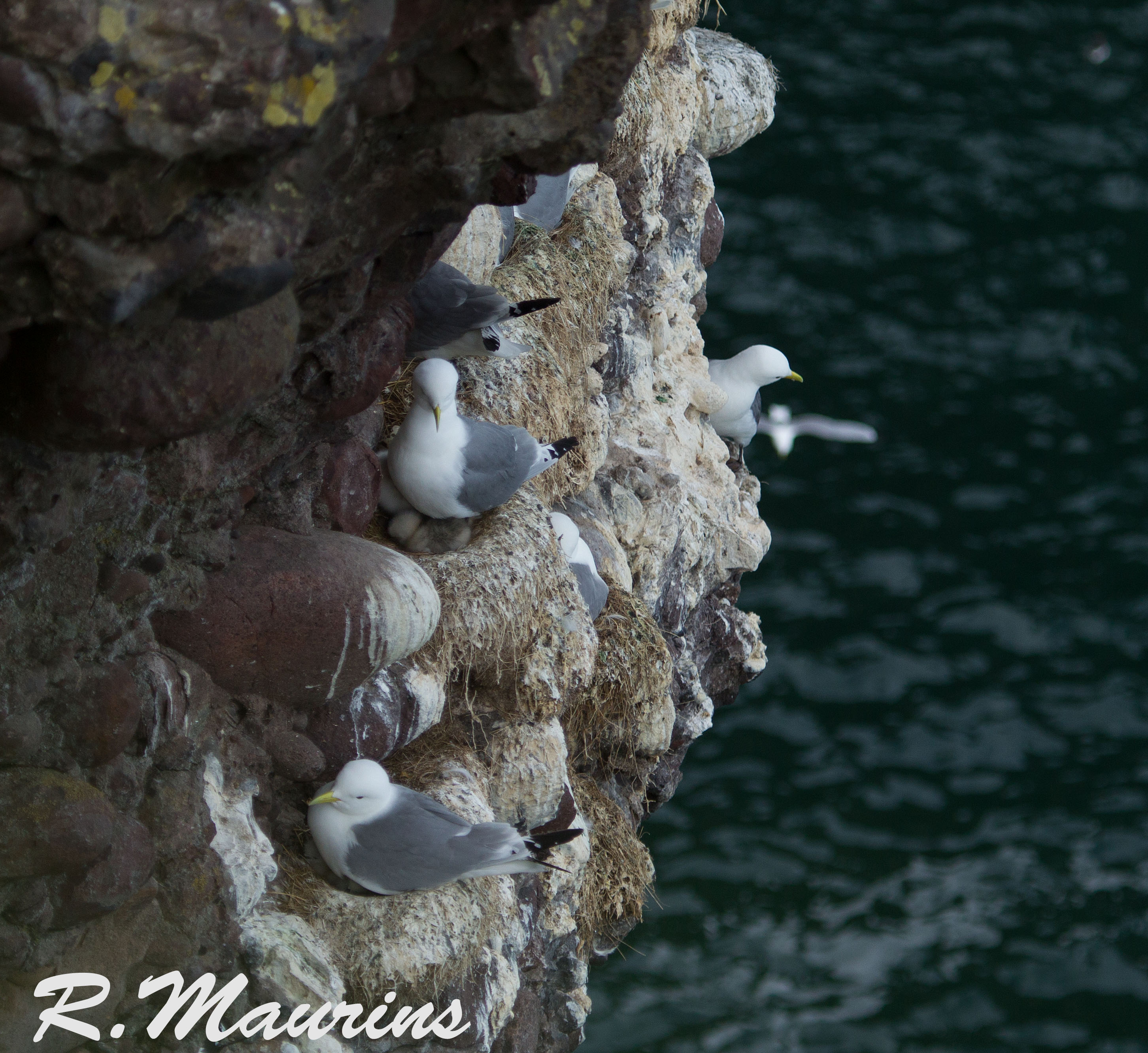 Need a head for heights.jpg