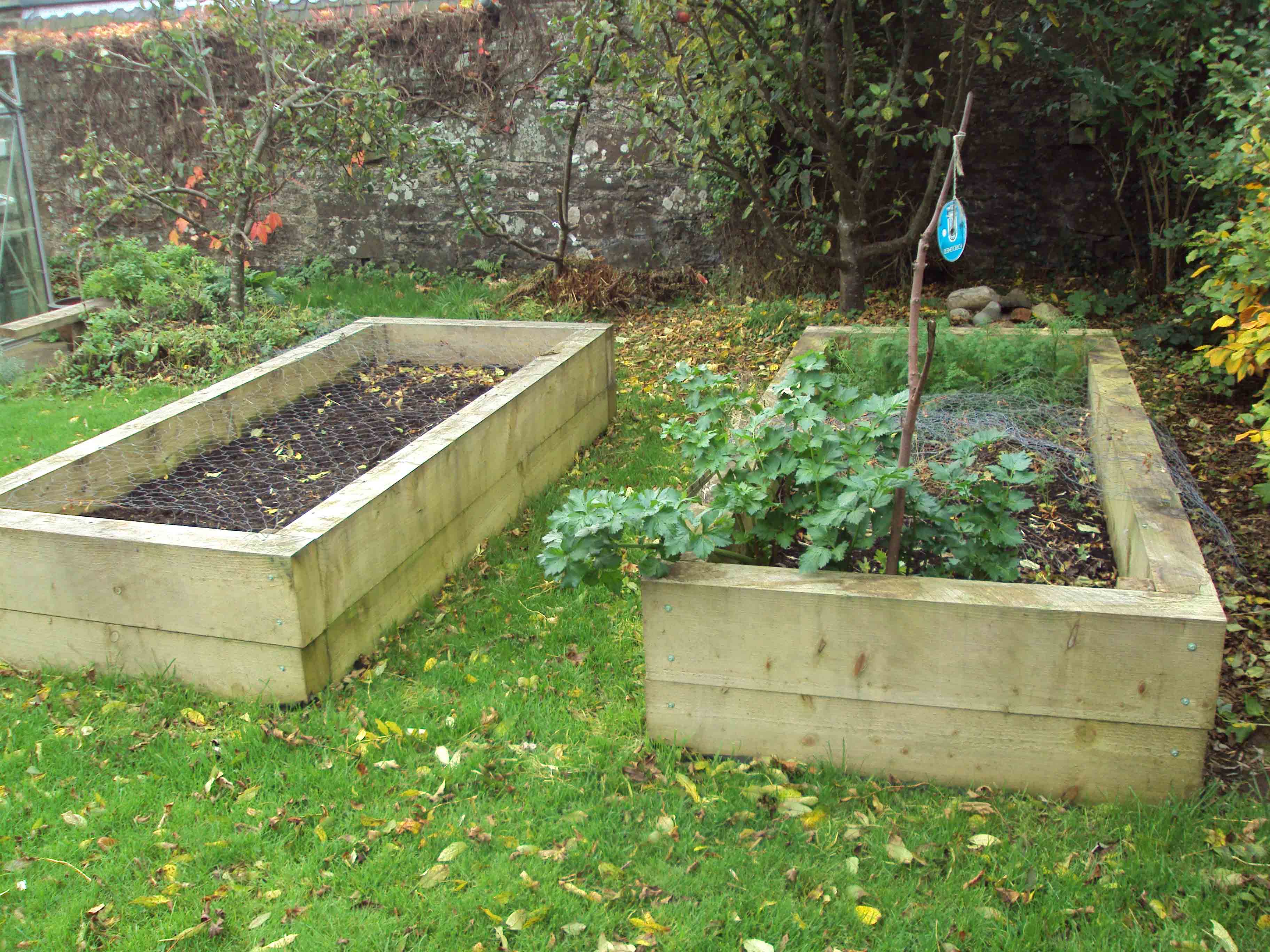 Raised beds1 and 2.jpg