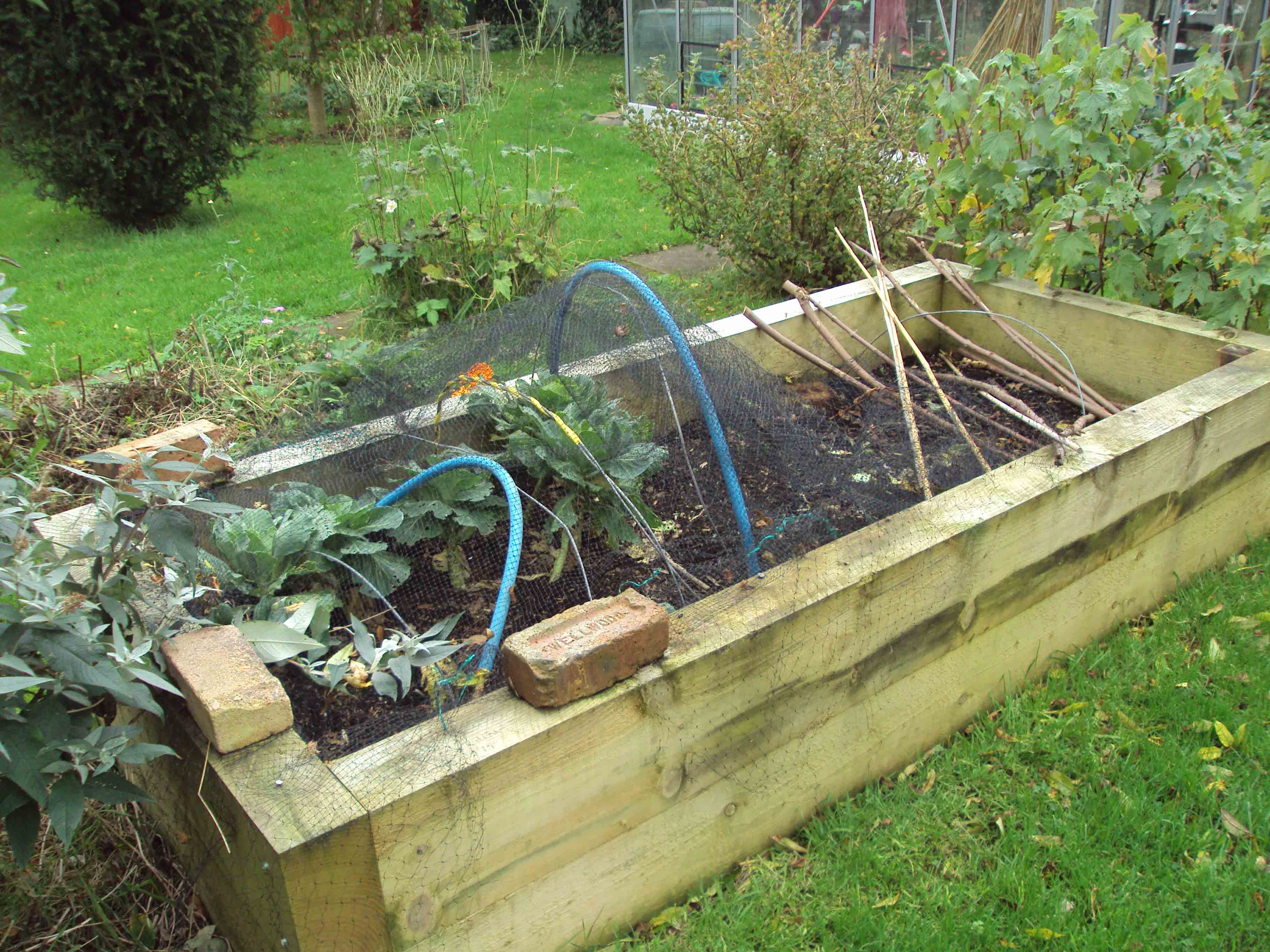 Raised beds3.jpg