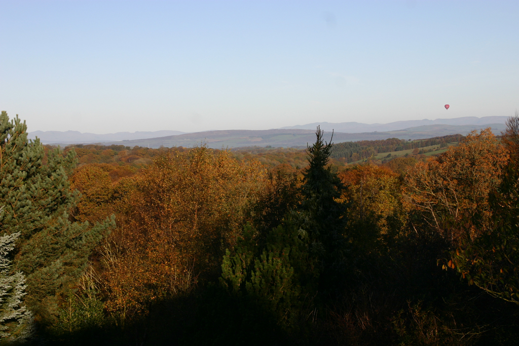IMG_3975_R.jpg