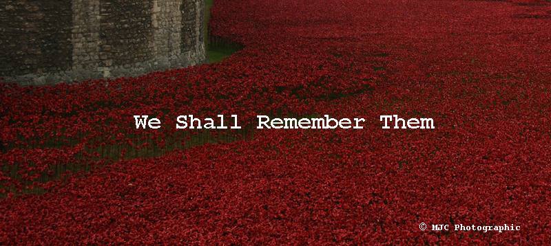 Poppy Field Tower.jpg