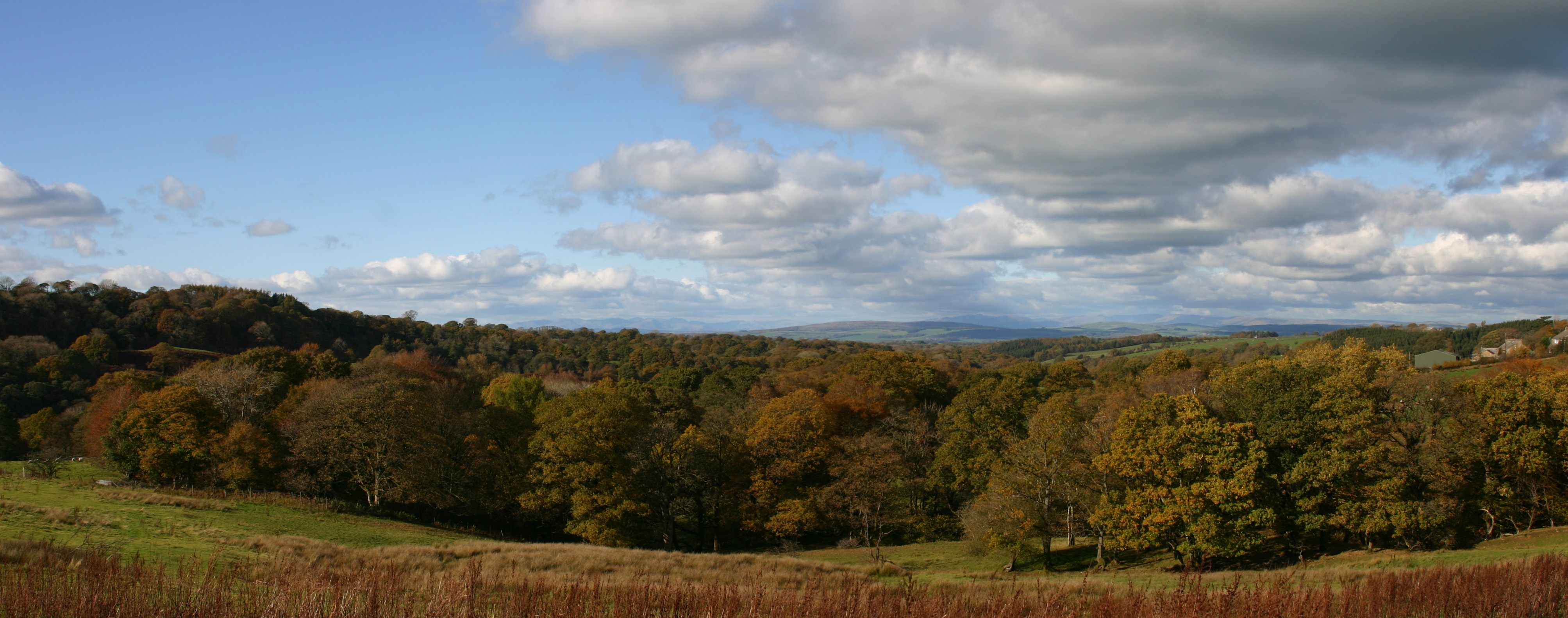 Panorama.jpg