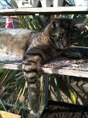 Diego April 2010.jpg