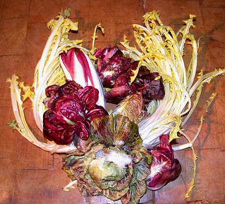 Les salades ameres d'hiver.jpg