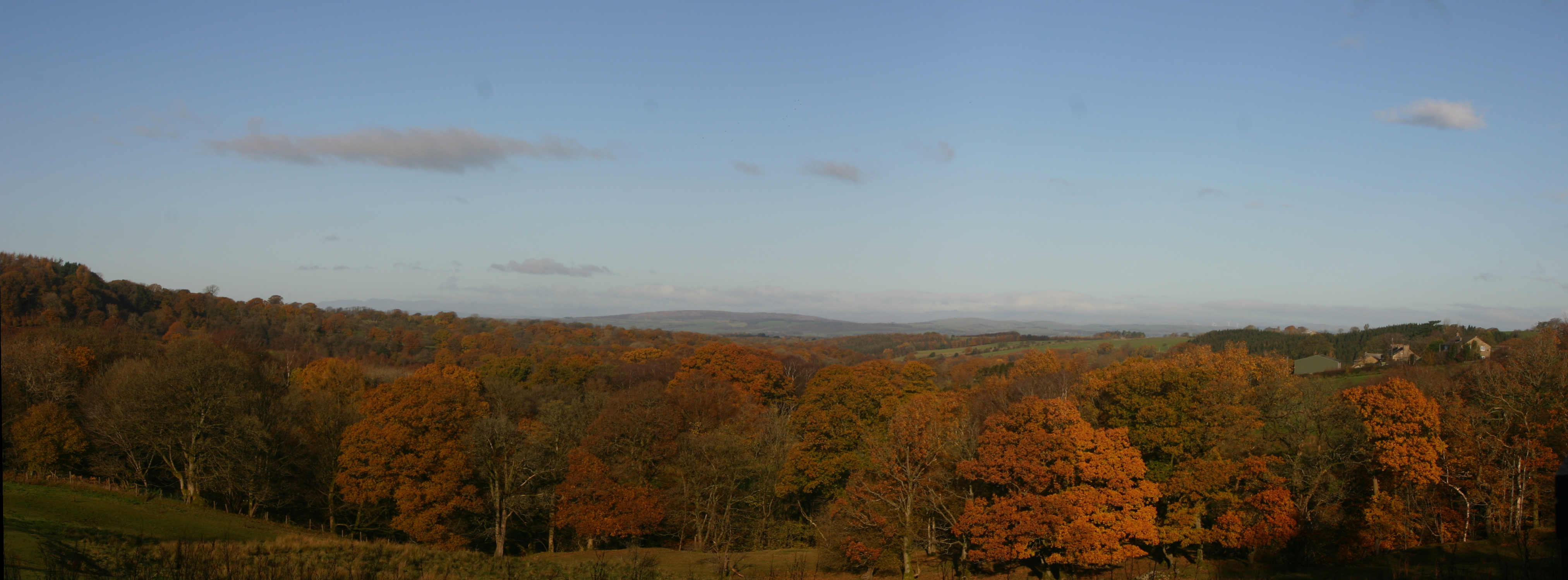 Autumn Pano.jpg