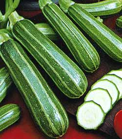 striato di napoli.jpg